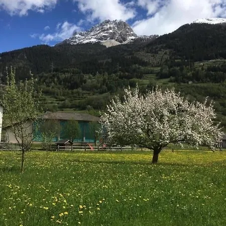 Schoene, Sonnige 25-zimmer Parterre-ferienwohnung *