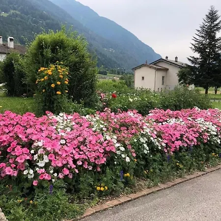 Schoene, Sonnige 25-zimmer Parterre-ferienwohnung *